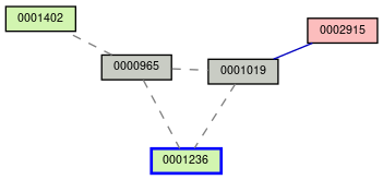 Relationship Graph