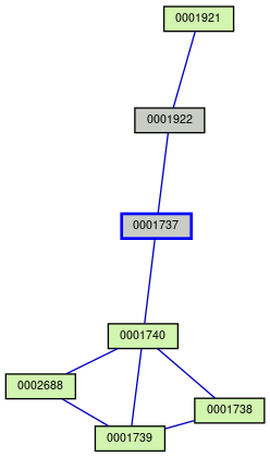 Relationship Graph