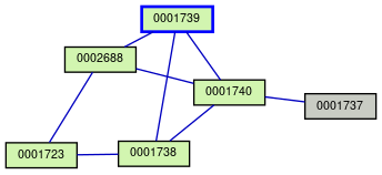 Relationship Graph