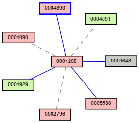 Relationship Graph