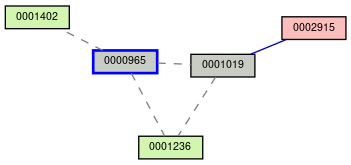 Relationship Graph